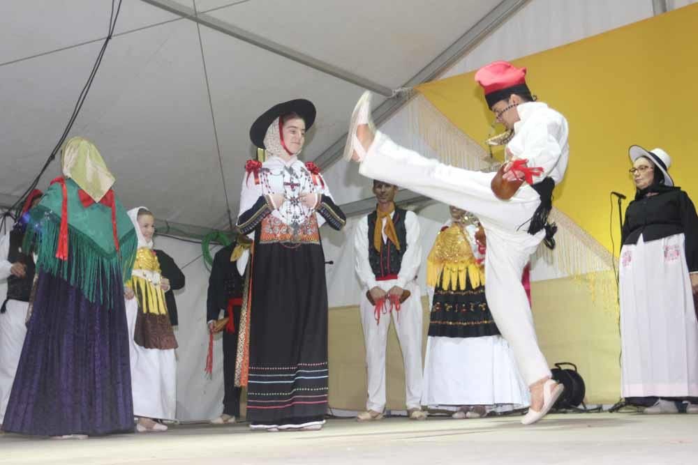 VII Mostra Folklórica Arrels Vives