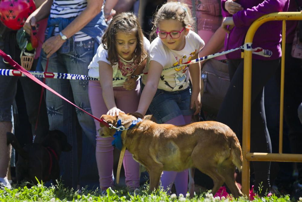 III Feria del Bienestar Animal en Valencia