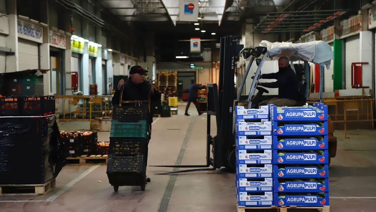 Desciende la actividad y la entrada de productos en Mercacórdoba.