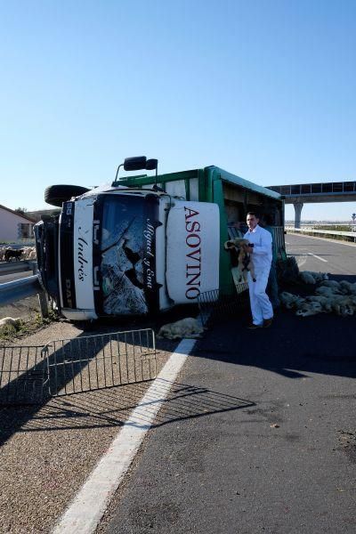 Accidente en la A-11