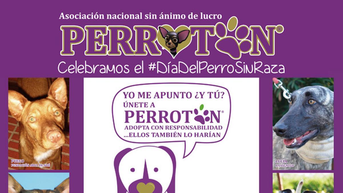 Día del perro sin raza, Perrotón