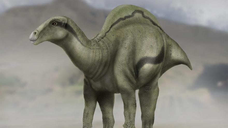 Hallada en Morella una nueva especie de dinosaurio