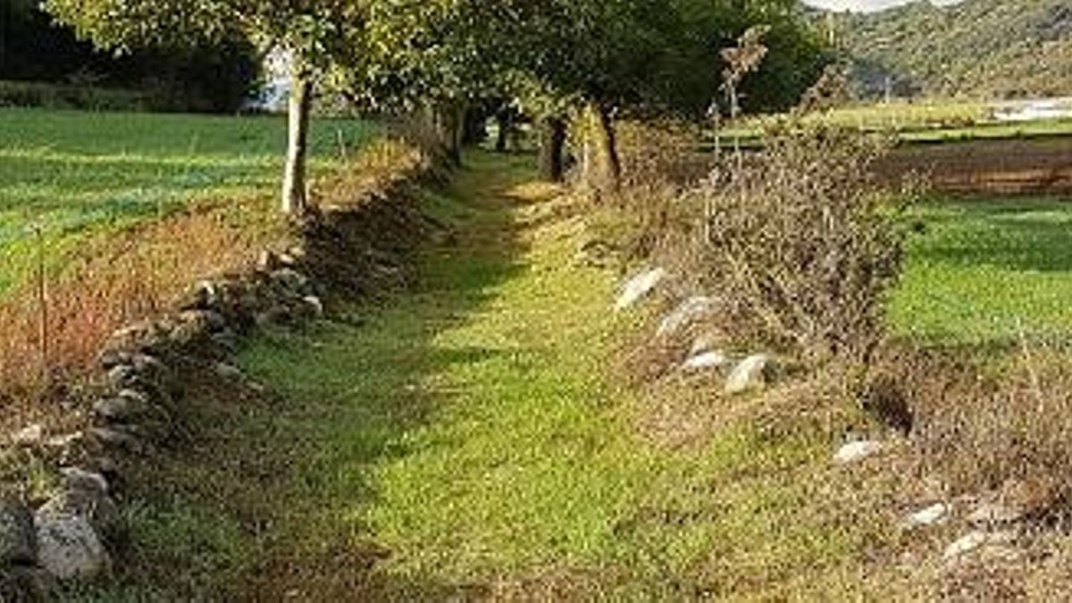Un camí dels catàleg comarcal de l'Alt Urgell