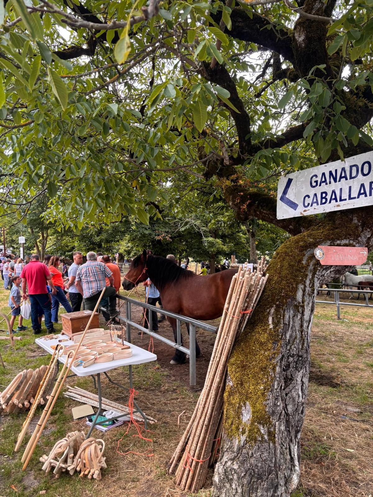 Víspera de la Feriona de Corao