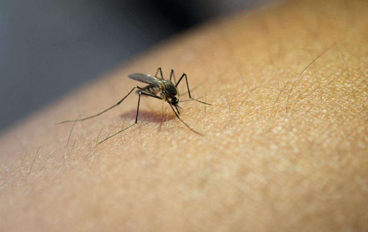 El 'bolígrafo' que alivia el picor de las picaduras de mosquitos sin químicos