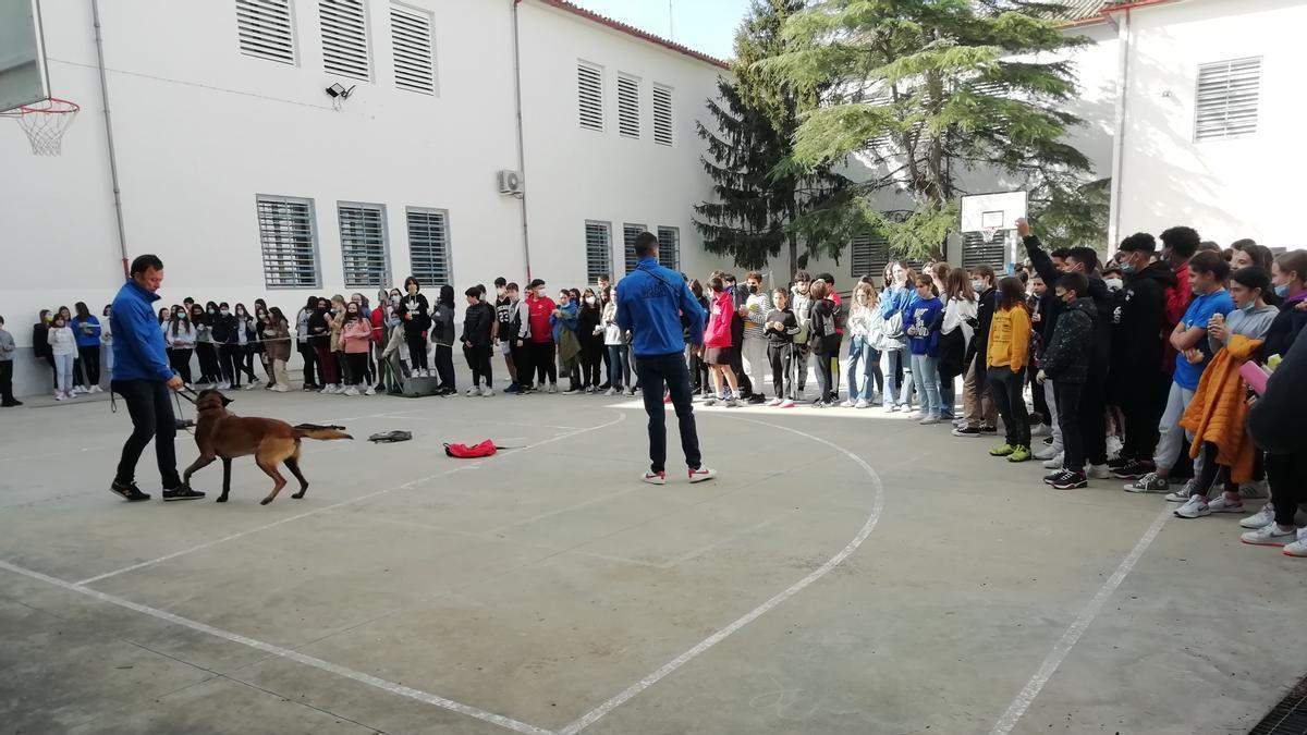 Los agentes realizan la demostración con la unidad canina antidrogas ante los estudiantes de 3º de ESO del centro.