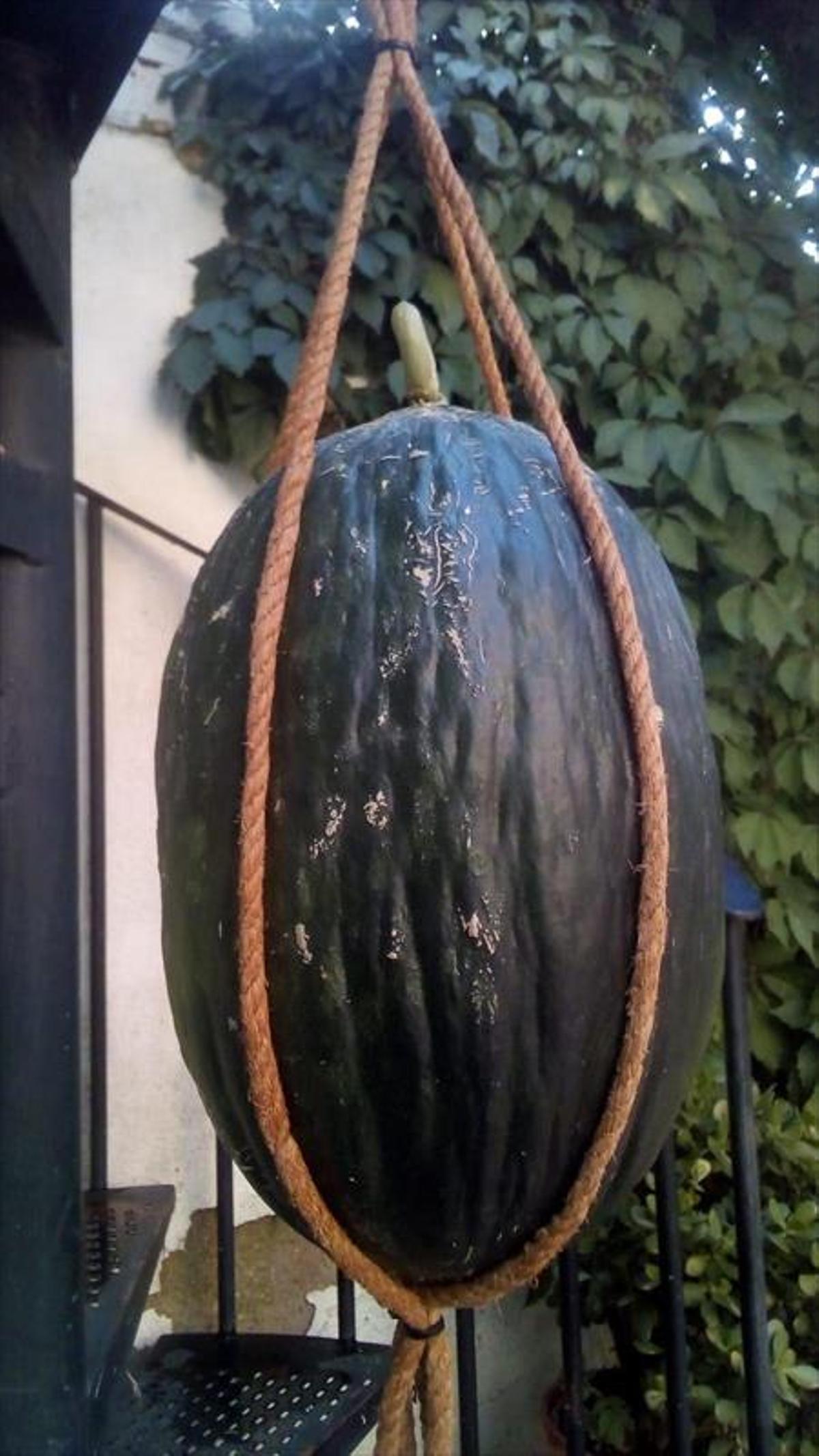 El fruto del tesoro