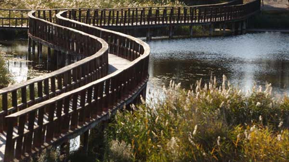 El sistema de pasarelas de Daimiel se inspiró en el Parque Nacional de Everglades, en Florida (EE UU).