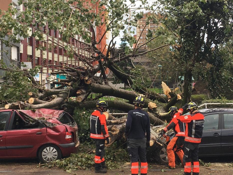 Daños por el temporal en Gijón.