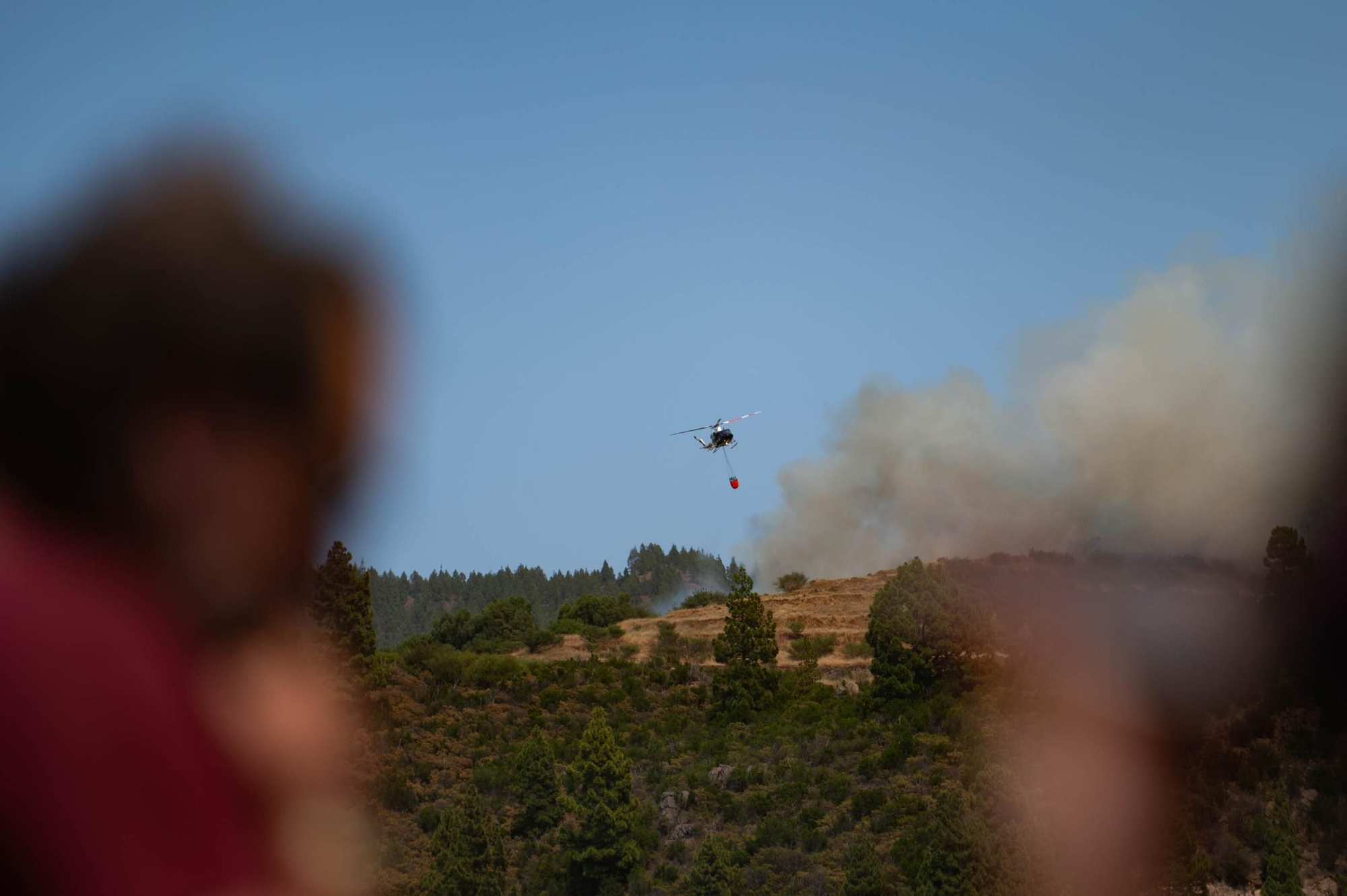 Imágenes del incendio declarado en El Tanque