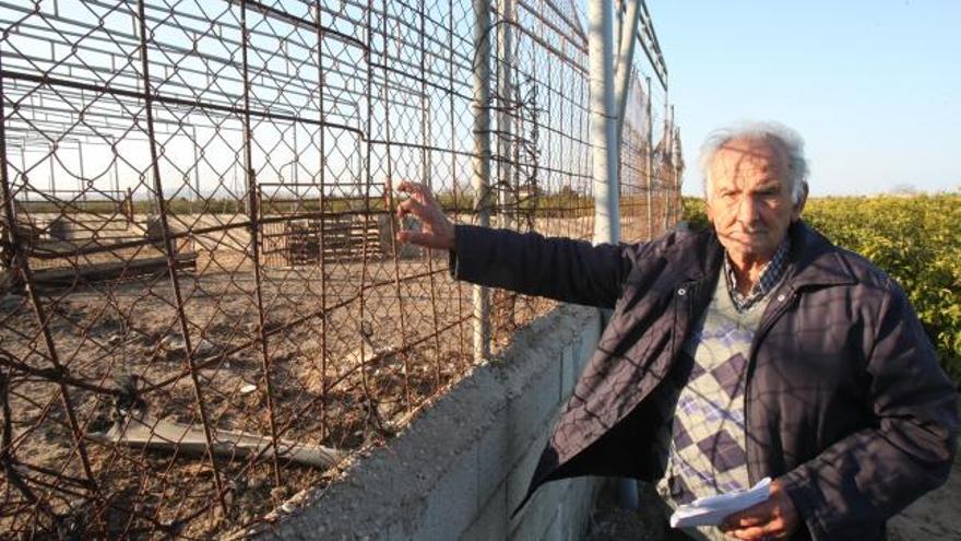 Embargan una granja en Algemesí y se llevan las 400 ovejas que había dentro