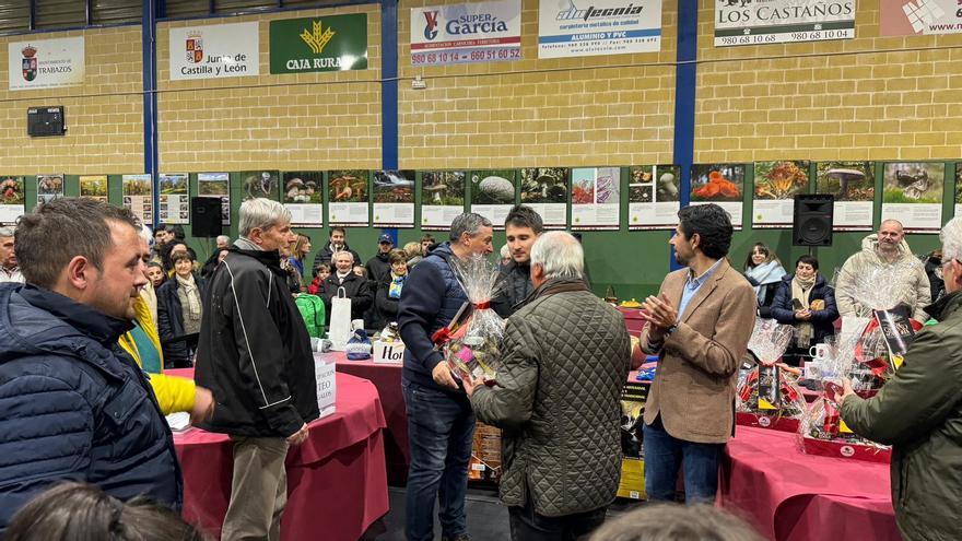 Trabazos de Aliste, capital de la miel y los frutos del bosque