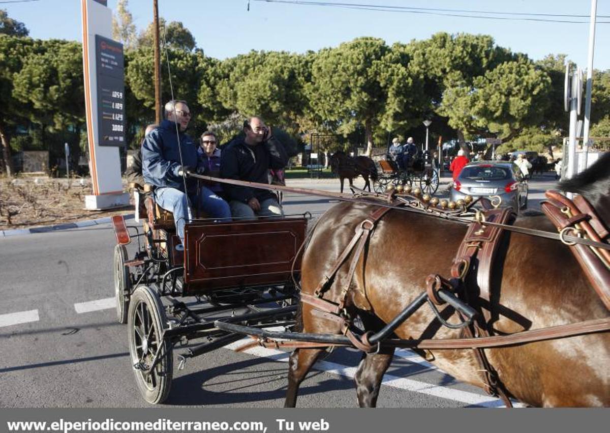 GALERÍA DE FOTOS -- Orpesa celebra Sant Antoni con carreras y bendición de animales