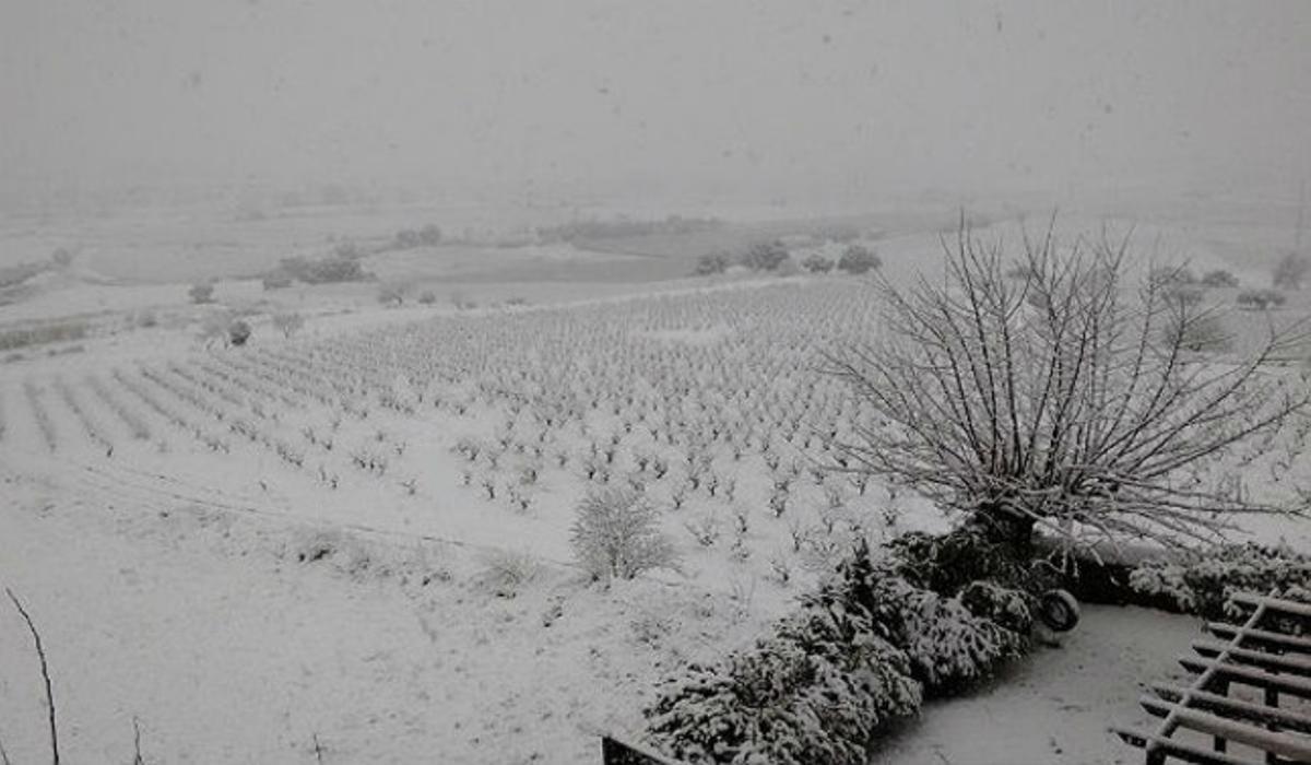 Paisatge nevat a Vilafranca del Penedès.