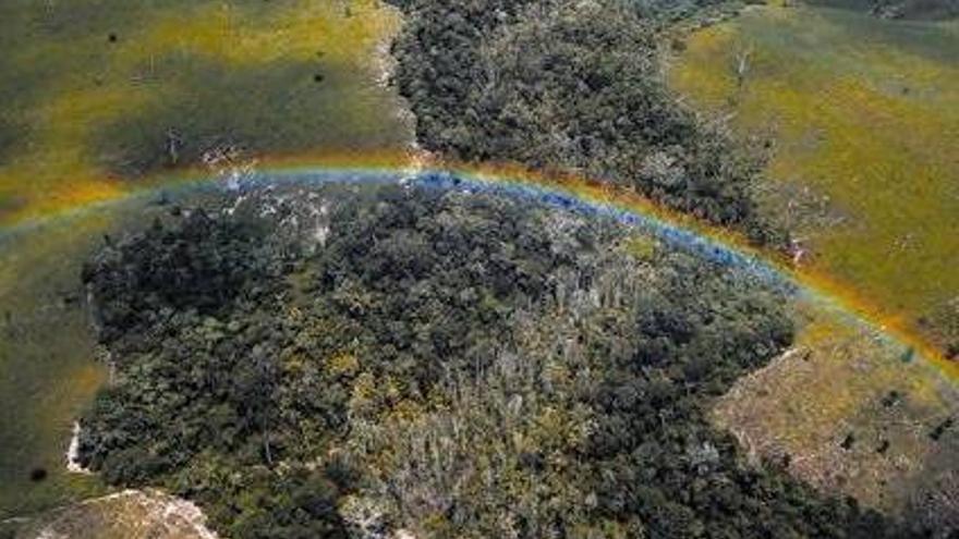 La urgencia de frenar el cambio climático vuelve a la agenda política