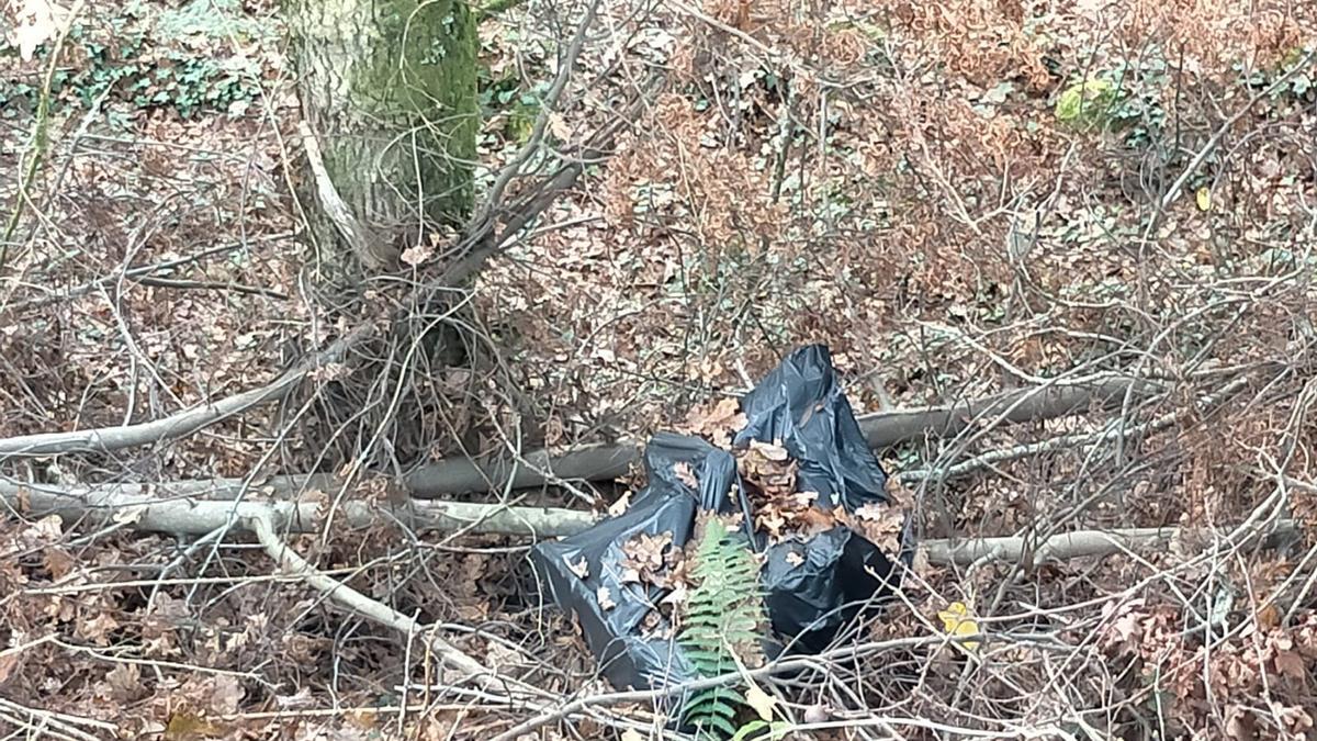 Una de las bolsas de basura en cuyo interior aparecieron restos biológicos de la víctima del crimen de Ourense