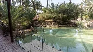 El embarcadero del palmeral de San Gabriel, sin funcionar desde hace ocho años pese a que el Ayuntamiento de Alicante lo promociona