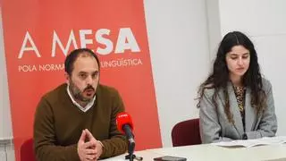 A Mesa acusa a Xunta de favorecer a "desaparición" do galego nas aulas