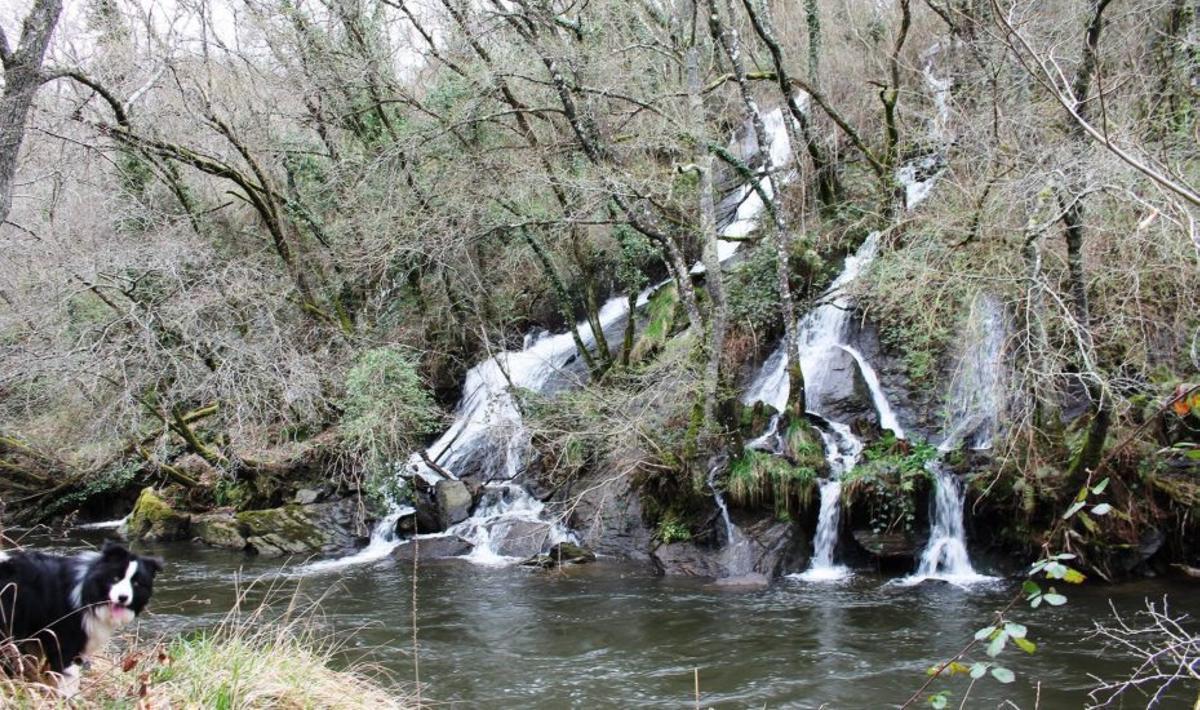 Ponte medieval de dous ollos sobre o Asneiro. | D.G.A.