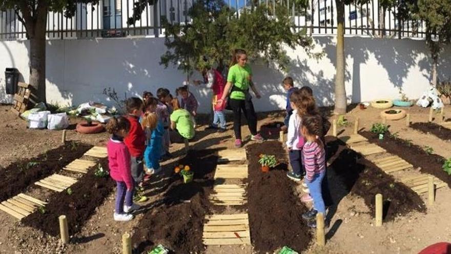 Medio centenar de colegios se suman este año al plan de huertos escolares en Málaga
