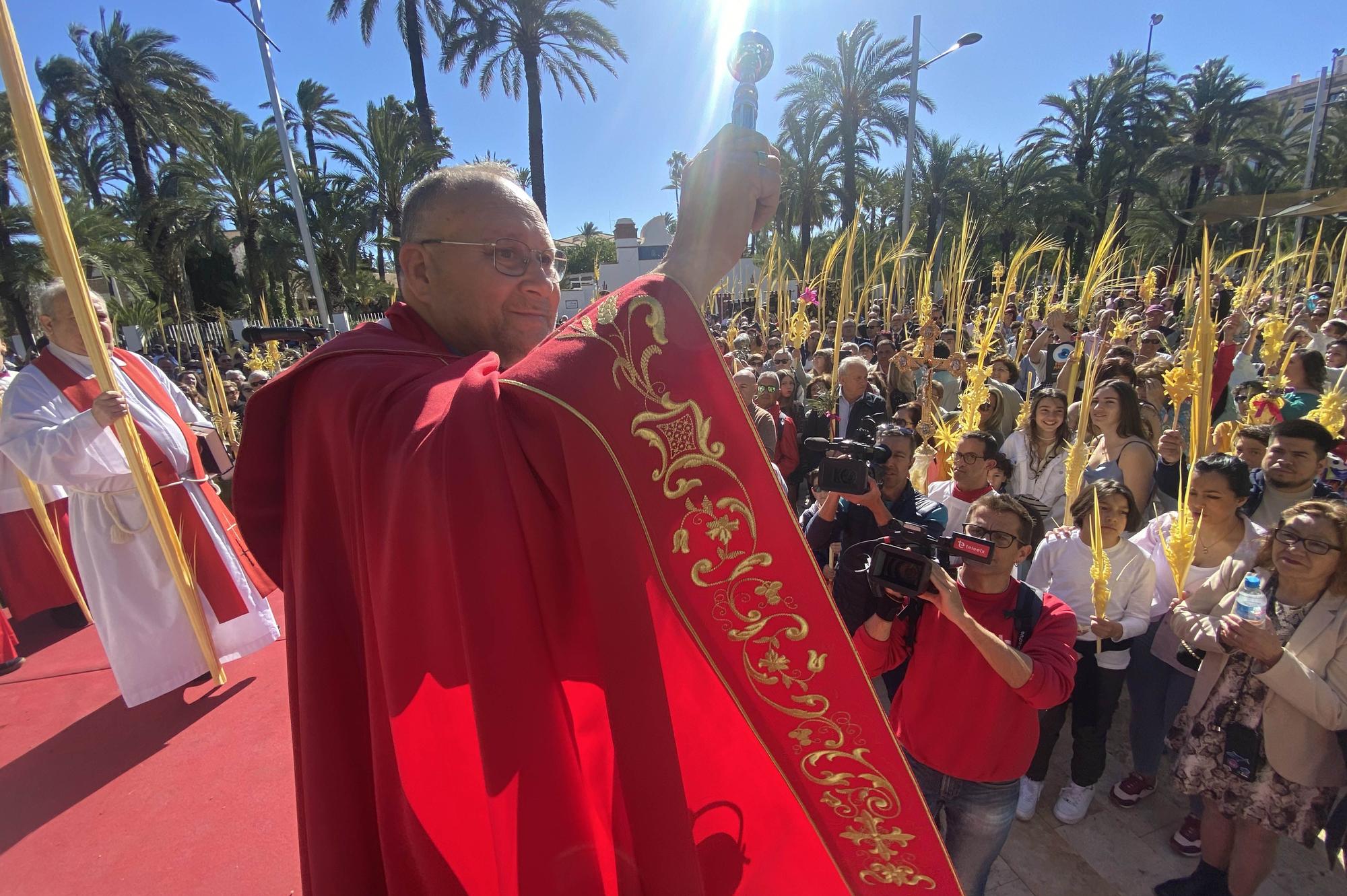 Domingo de Ramos en Elche