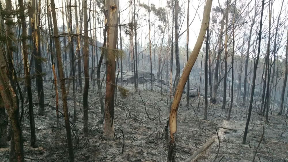 Incendios en Galicia | El fuego de Porto do Son arrasa el monte de A Curota