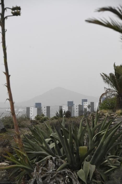 24-02-20 LAS PALMAS DE GRAN CANARIA. DIFERNETES LUGARES. LAS PALMAS DE GRAN CANARIA. METEOROLOGIA. Calima.    Fotos: Juan Castro.