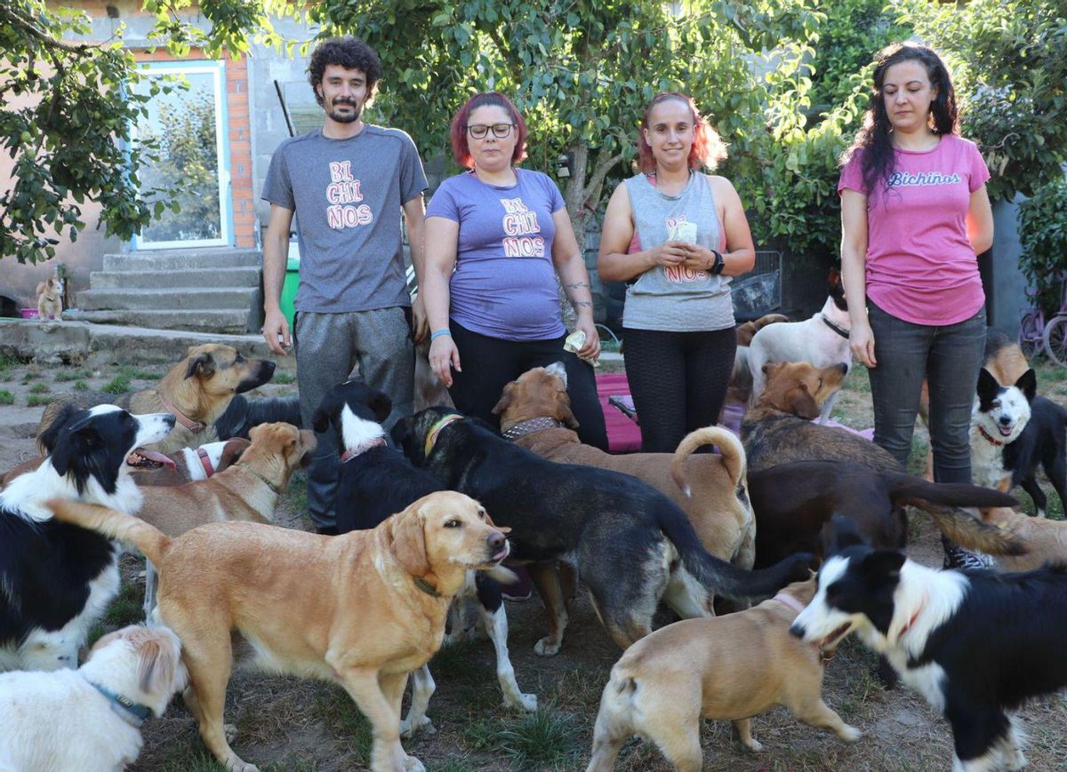 El hotel para perros ‘Bichiños’, ubicado en Coles. | // FERNANDO CASANOVA