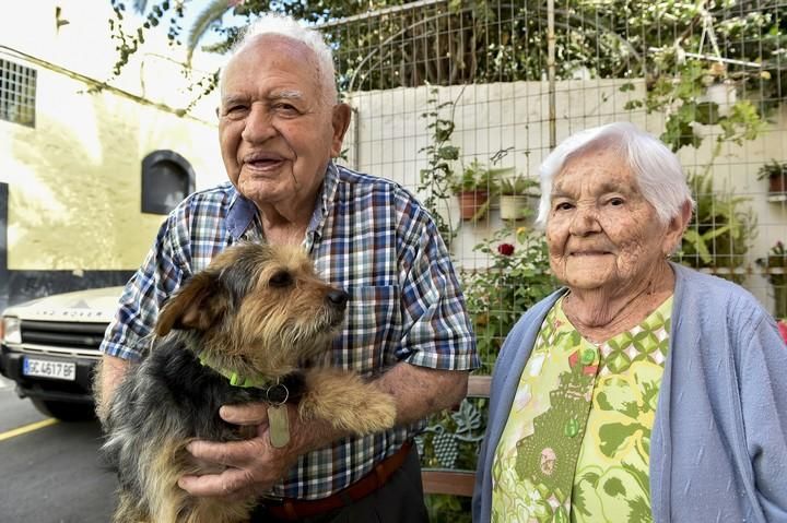 PANCHO UN PERRO MUY PARTICULAR