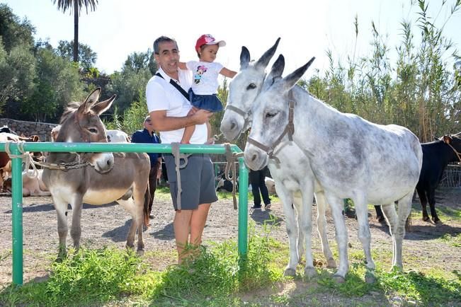 FIESTA DE SANTA LUCIA