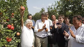 Vídeo | Poma de Girona preveu produir 89.000 tones de pomes i manté la renovació varietal dels últims anys