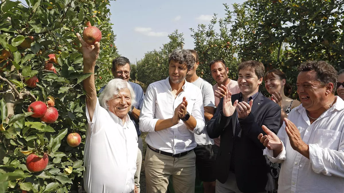 Poma de Girona preveu produir 89.000 tones de pomes i manté la renovació varietal dels últims anys