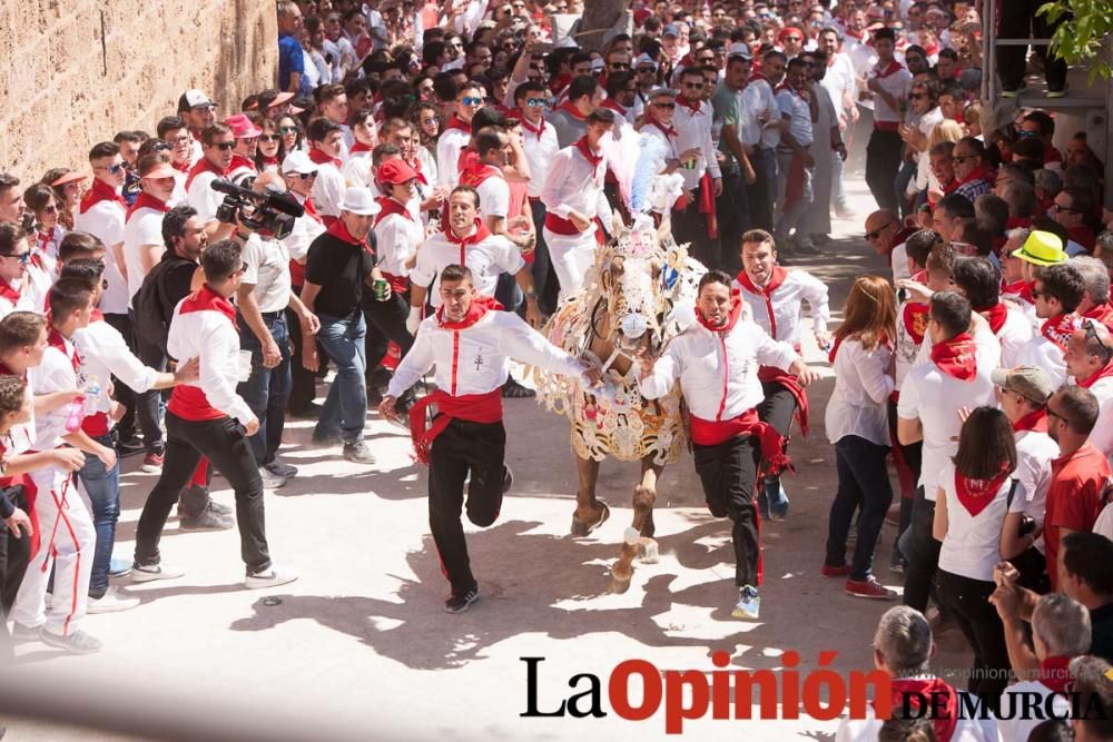 Carrera de los Caballos del Vino