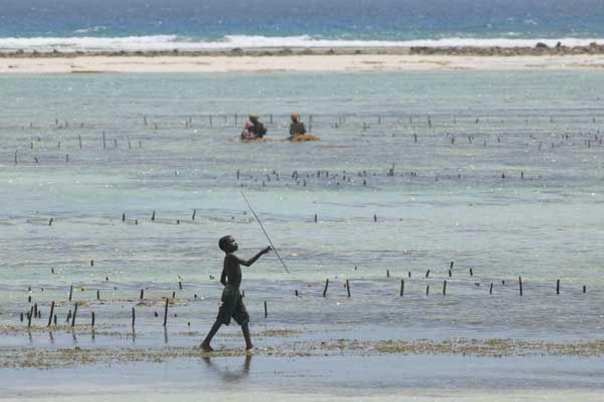 Niño jugando en la playa cerca de las plantaciones de algas en Matwemwe, al norte de Unguja, Zanzíbar.
