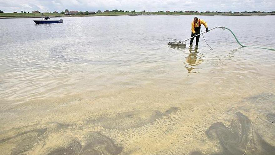 Empleados de la Agencia alemana de Ayuda Técnica, THW, limpian de diesel una playa de Hamburgo, Alemania, hoy 17 de julio de 2008. Unas 400 toneladas de combustible procedentes del barco &quot;Urdine&quot;, de 82 metros de eslora, han provocado este desastre natural debido a que reventaron varios de sus depósitos con un cargamento de diesel, tras chocar contra otro barco de 95 metros de eslora que transportaba escombros. El barco cisterna pudo trasladarse por su propia fuerza hasta la esclusa de Geesthacht, donde fue bombeado inmediatamente el resto del combustible que guardaba en su interior de una carga total de 900 toneladas de diesel.