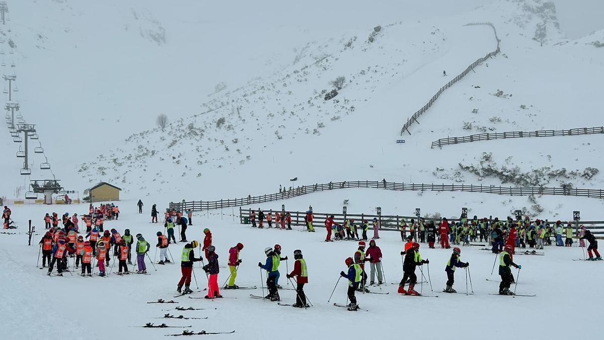 Participantes de la Semana Blanca en la zona media de Fuentes de Invierno. | A. .V.