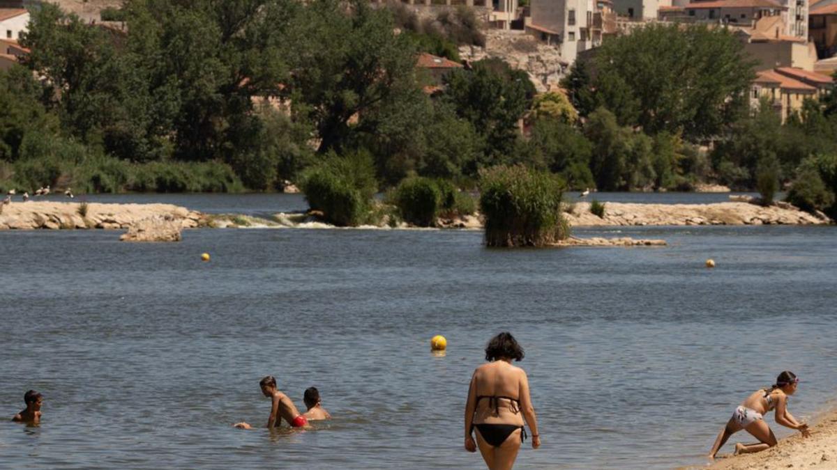 Zamoranos bañándose en el Duero en el mes de agosto.