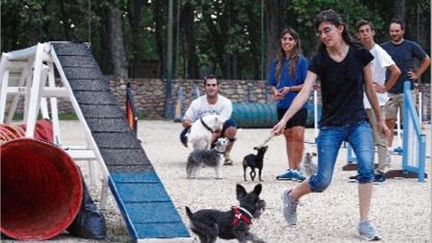 Les instal·lacions del Club Agility estan ubicades al parc de la Devesa de Girona.