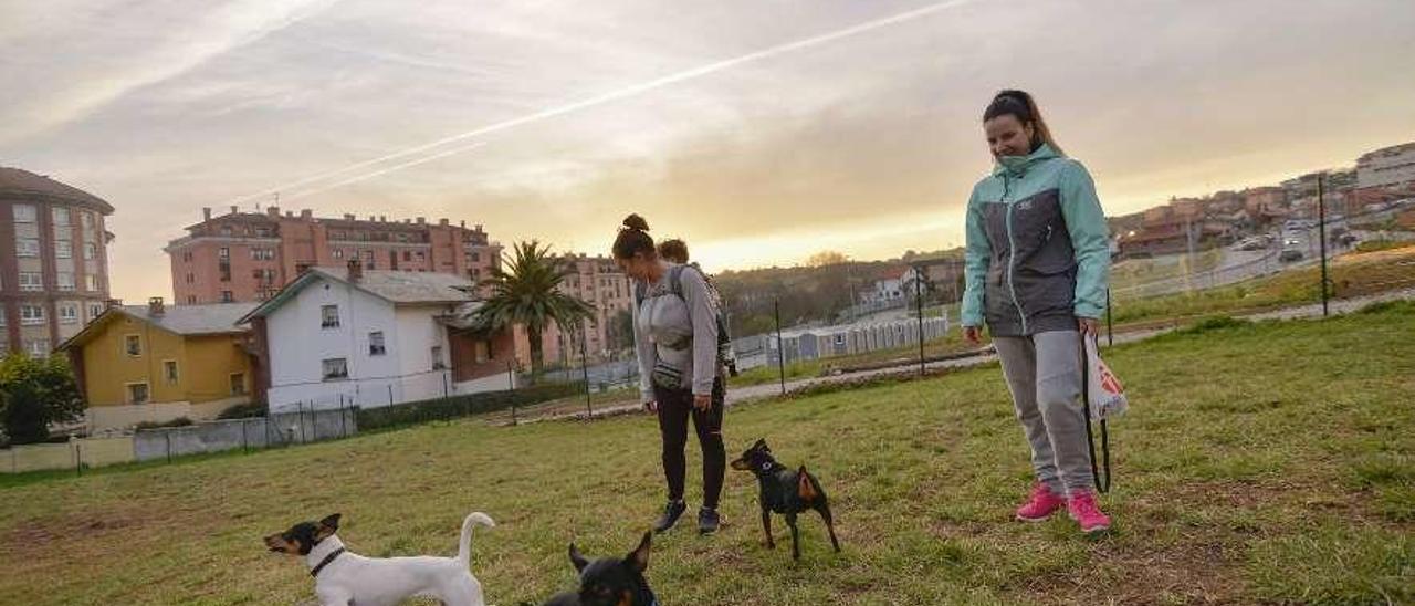 El parque canino de Valgranda.