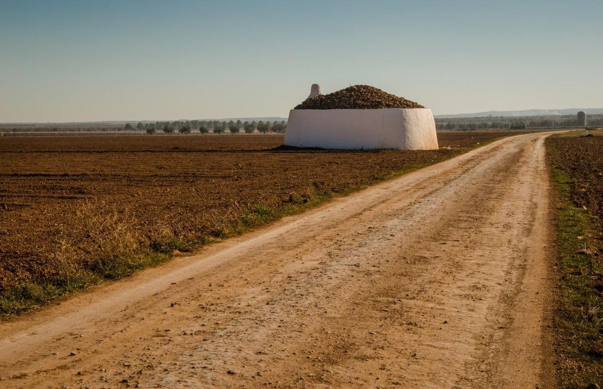 Tomelloso, Ciudad Real