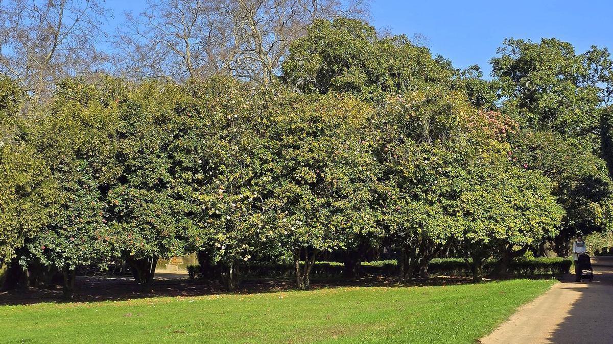 Jardines de Castrelos, uno de los que está incluido en el contrato de mantenimiento de zonas verdes.