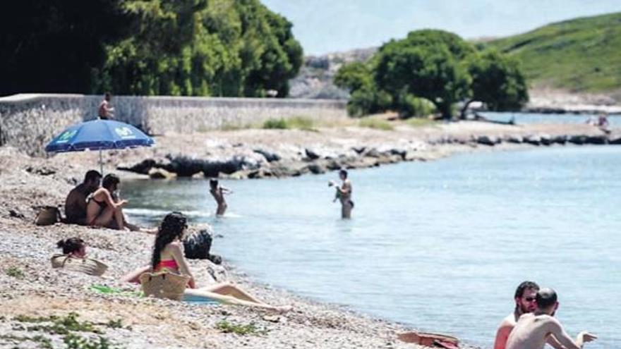 Alcúdia richtet Badezone für Hunde am Strand von Alcanada ein