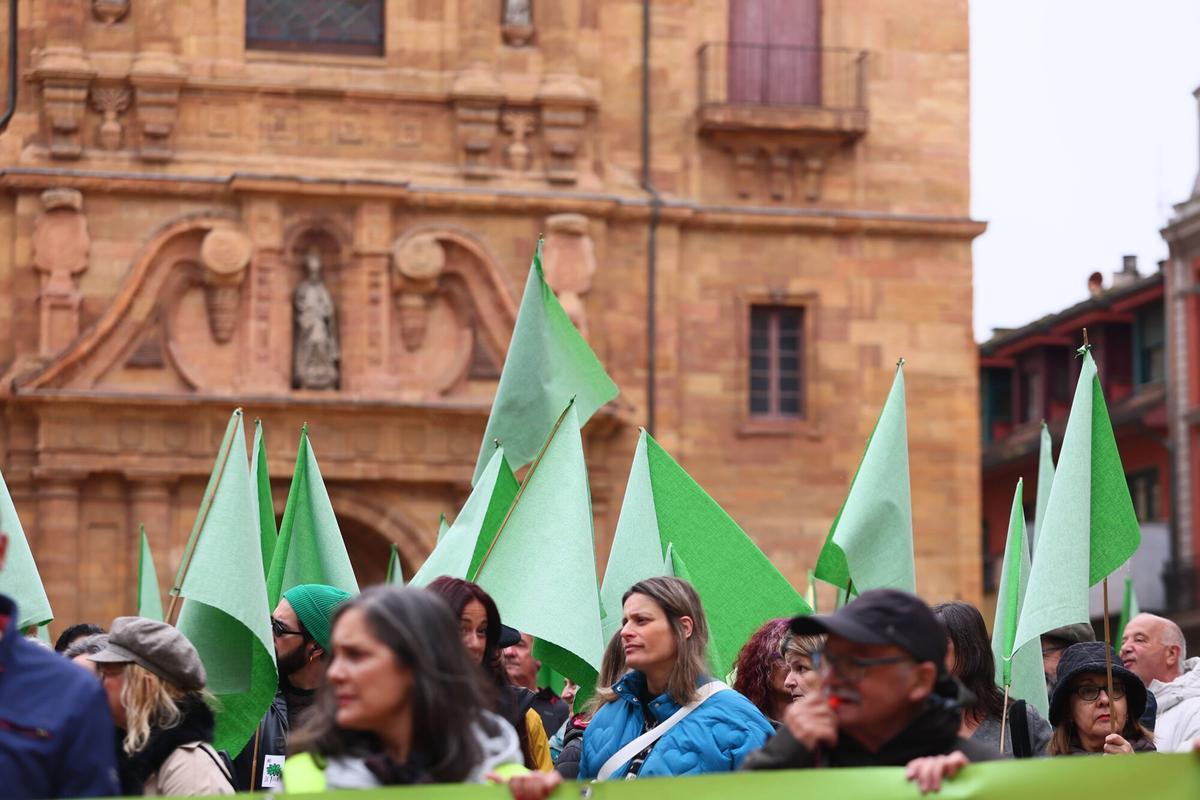 La manifestación para pedir la paralización del parking del Campillín.