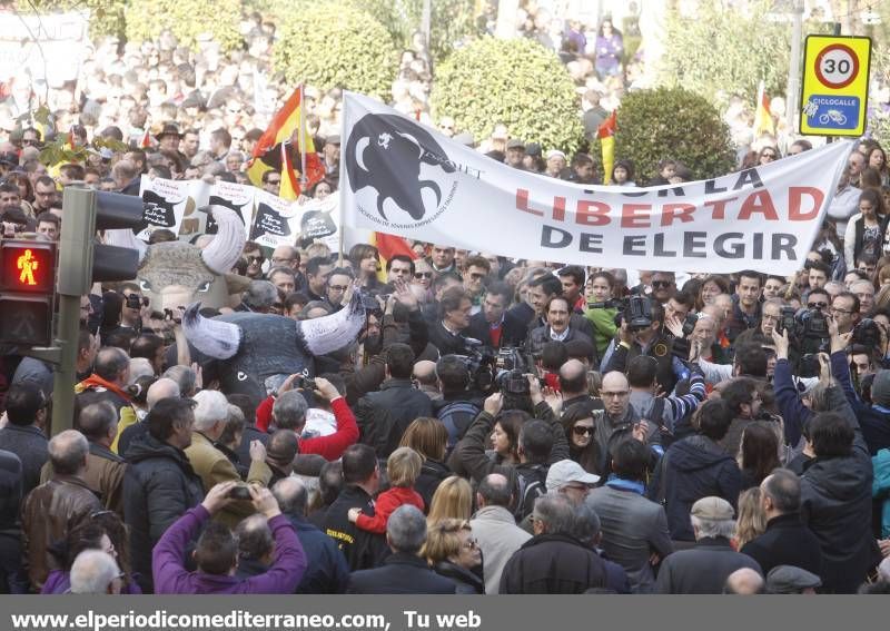 GALERÍA DE FOTOS -- Seguimiento de la manifestación protaurina -- Parte 2