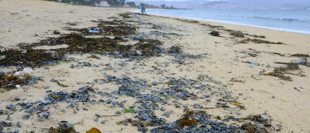 Restos de medusas mezclados con residuos en la playa urbana de Rodeira.