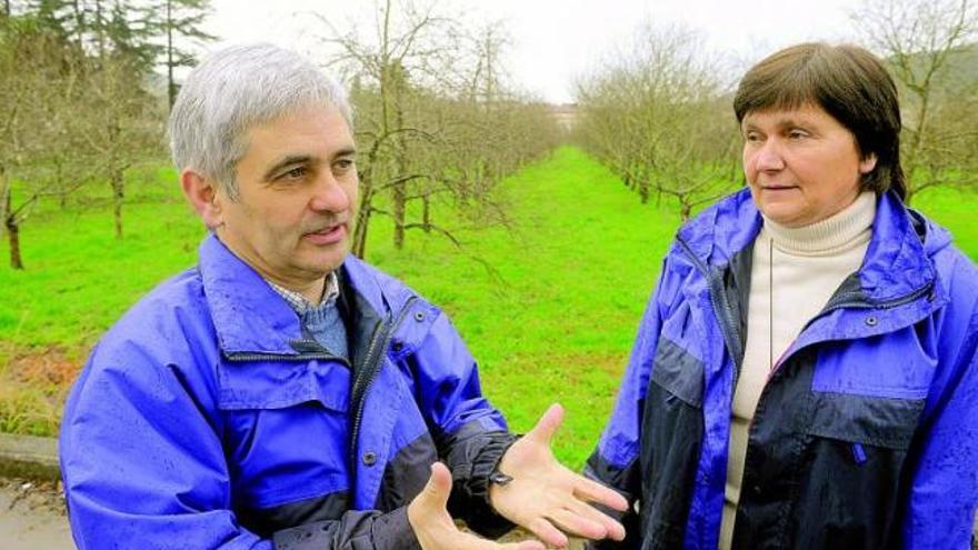 Los investigadores del Serida Enrique Dapena y María Dolores Blázquez, ante la plantación experimental de manzanos que hay en Villaviciosa. / nacho orejas