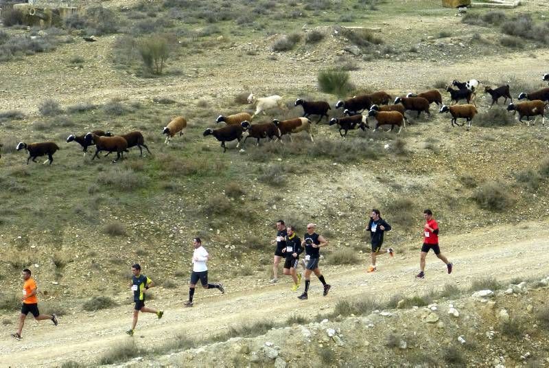 Fotogalería de la Carrera del Ebro