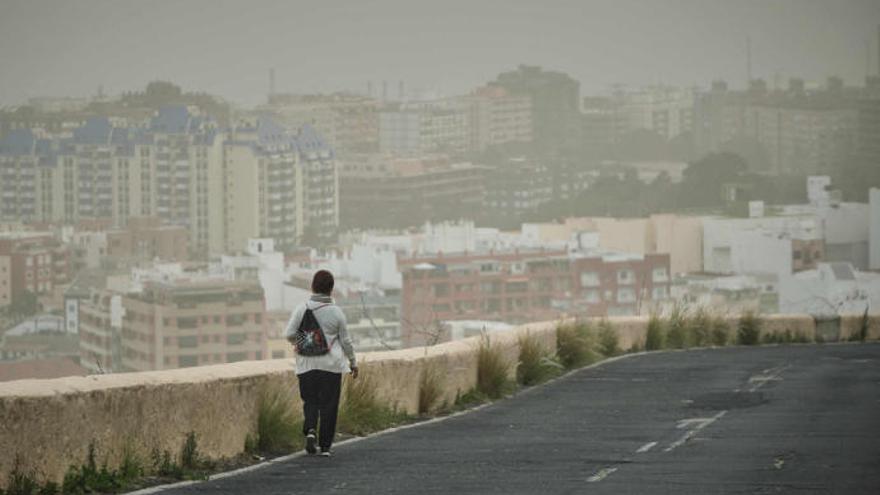 Imagen de la semana pasada en Santa Cruz de Tenerife.