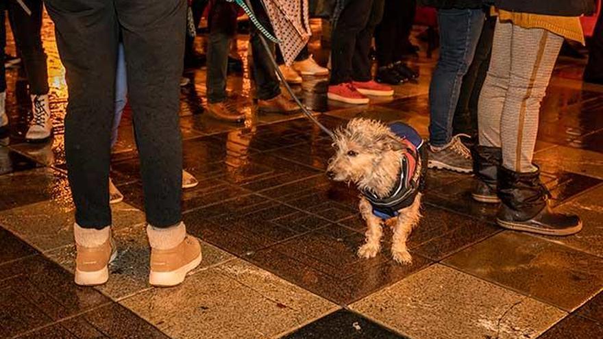 El viento y la lluvia obligan a interrumpir los conciertos de sa Feixina y las Tortugas