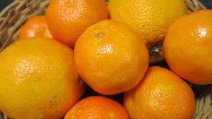 Naranjas y mandarinas, en una cesta.